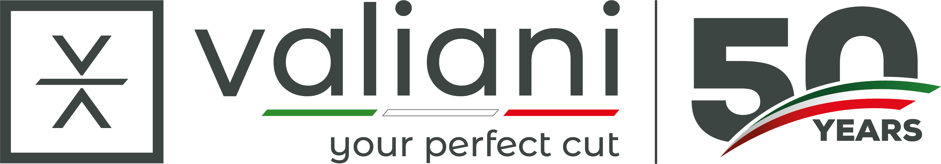 logo Valiani s.r.l.