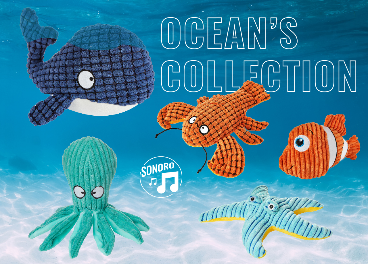 OCEAN'S COLLECTION
