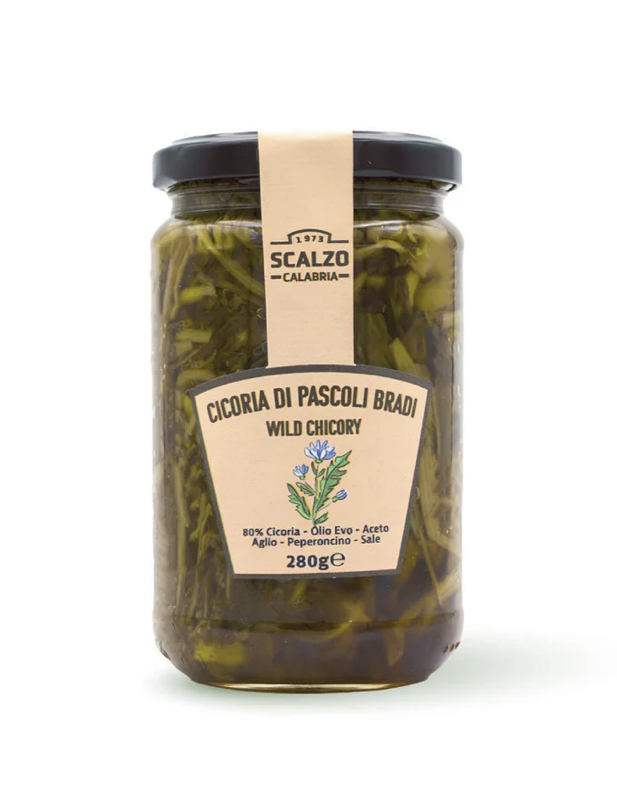 Cicioria Selvatica di Pascoli Bradi